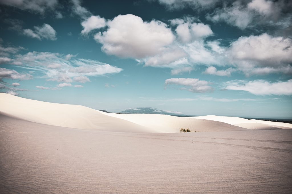 Exploring Cape Town’s Rich Natural Habitats: The Atlantis Dunes and the Witzands Aquifer Nature Reserve